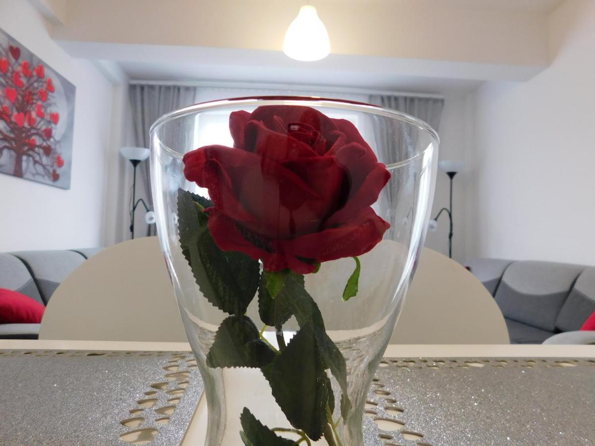 Apartamenty Niko Zator Luaran gambar